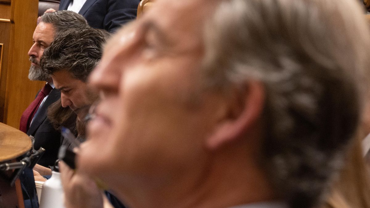 El libro que cuenta a Feijóo lo que no quiere escuchar