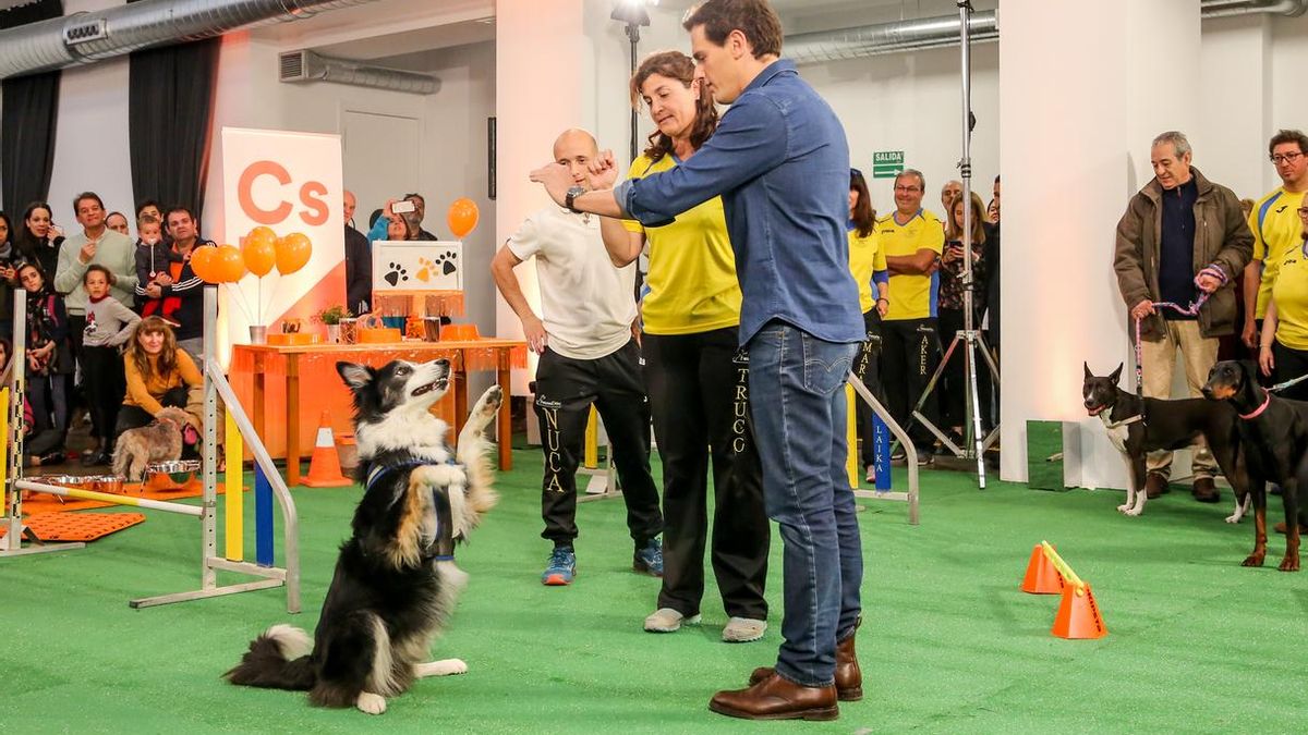 Rivera defiende tener primero una ley para los animales de compañía y luego proteger también a los no domésticos