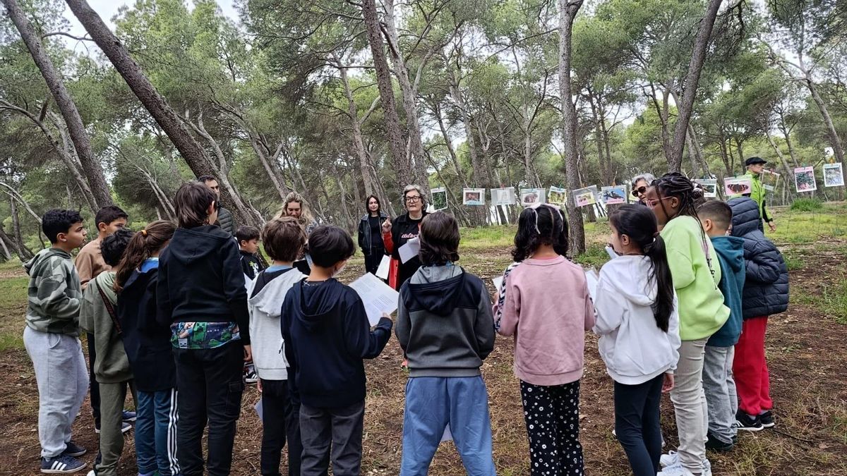 Escolares en los pinares de Venecia