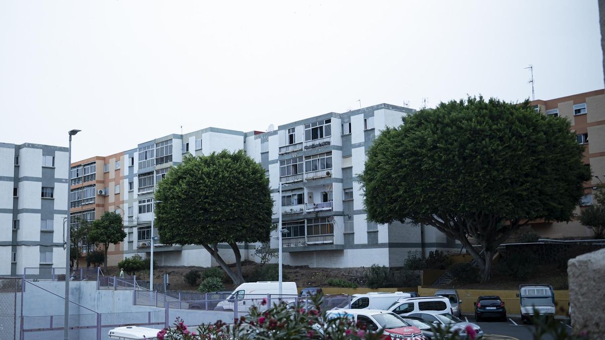 La Laguna adjudica el mayor proyecto de rehabilitación residencial de Canarias en El Cardonal
