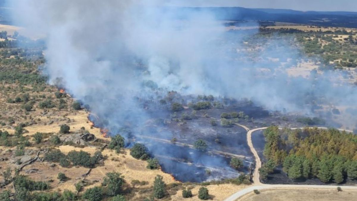 Se declara un incendio forestal en Riofrío del Llano, de nuevo en plena Sierra Norte de Guadalajara