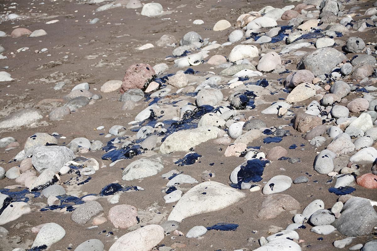 Recogida de fuel en la playa de Veneguera (Alejandro Ramos)
