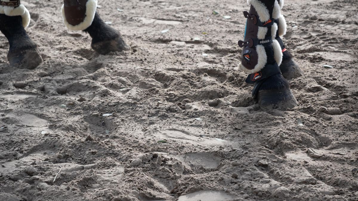 Foto de referencia. Después del abuso que denuncia, Brunello siguió dando clases un tiempo más, incluso a sus 20 años llegó a tener 30 alumnos pequeños a quienes enseñaba a montar. Pero de un momento para otro, dejó todo, abandonó la equitación.