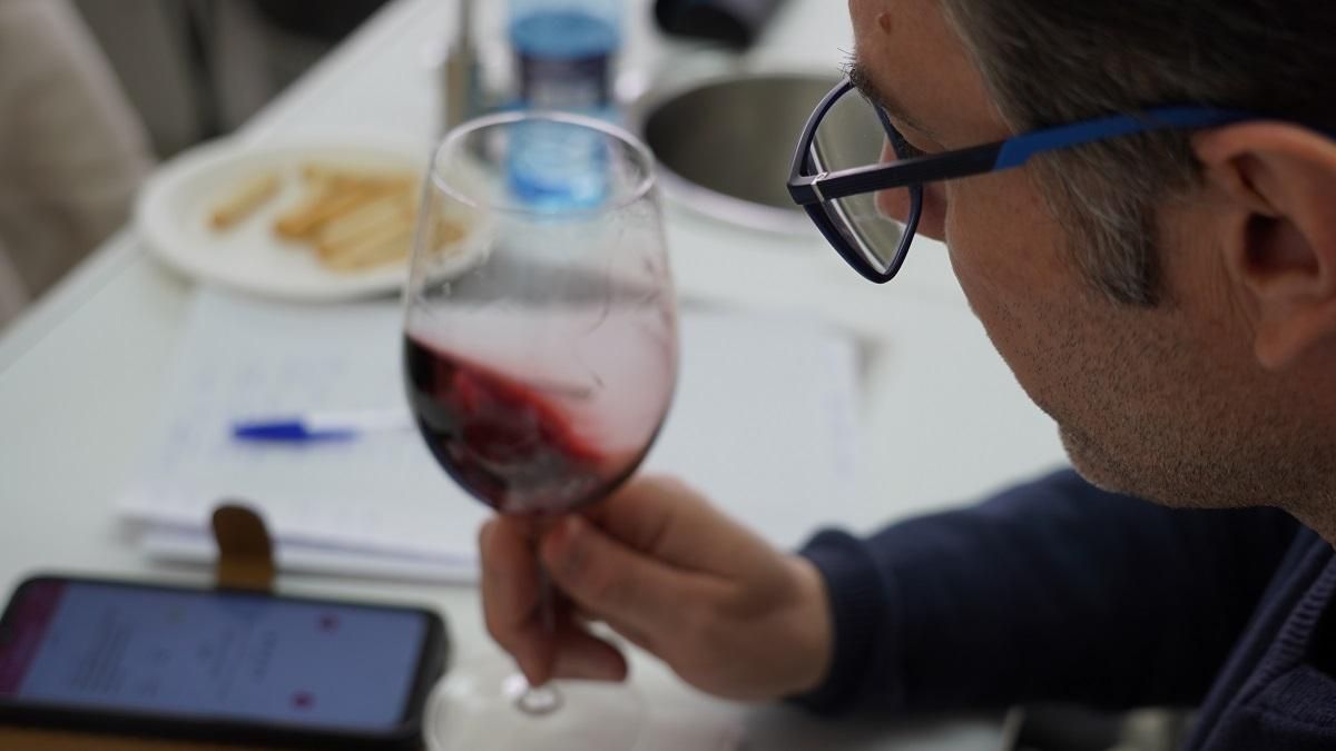 El comité de cata ya está evaluando las primeras muestras entrantes