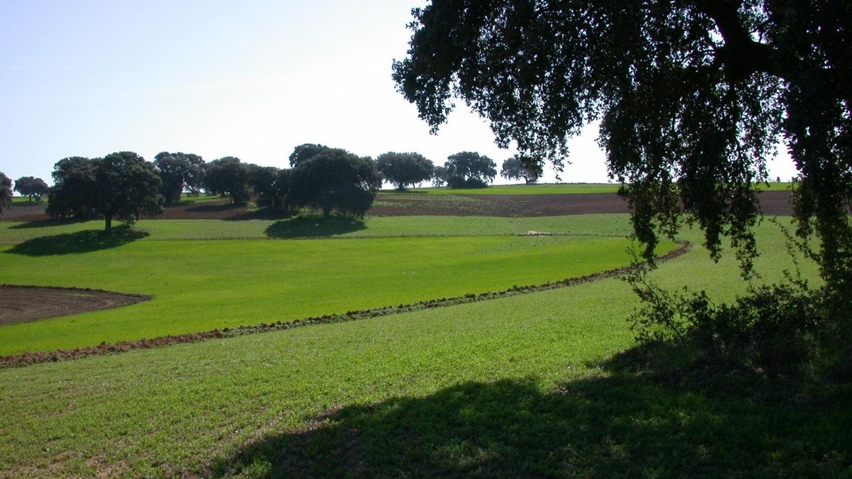 Andalucía ya tiene una nueva ley de promoción e impulso de la producción ecológica