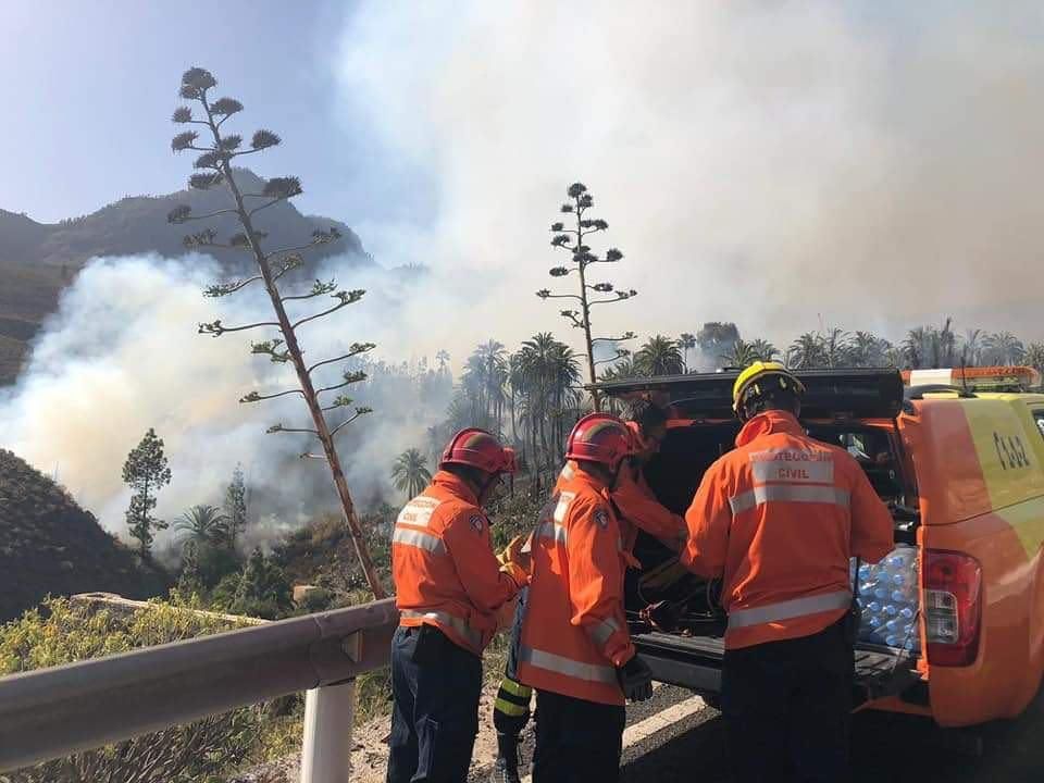 El fuego calcina 35 hectáreas de palmeral en Fataga