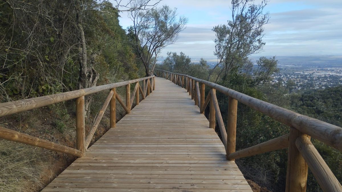 Pasarela de madera.