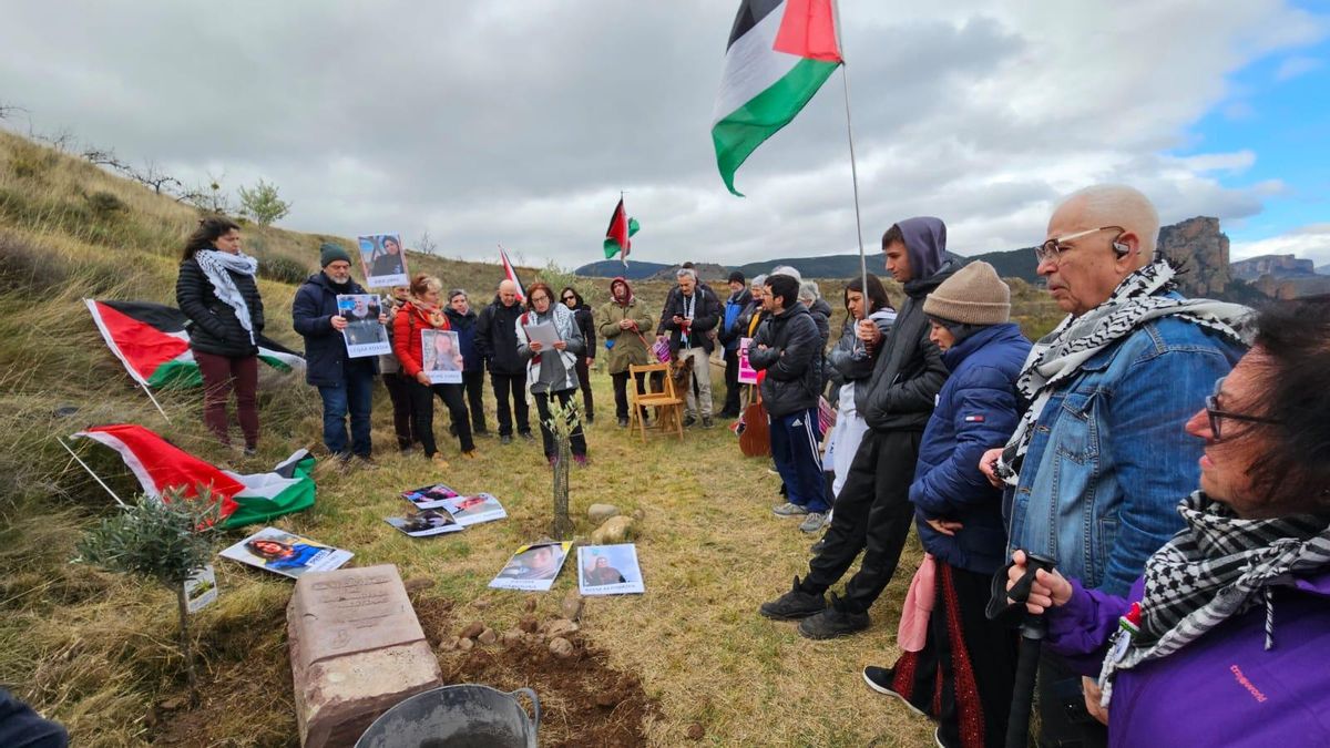 Un olivo en el Bosque de la Memoria de Nalda en recuerdo a las mujeres palestinas