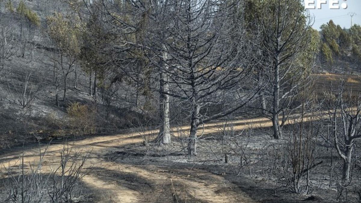 Controlado el incendio de Selas que ha devorado casi 3.000 hectáreas