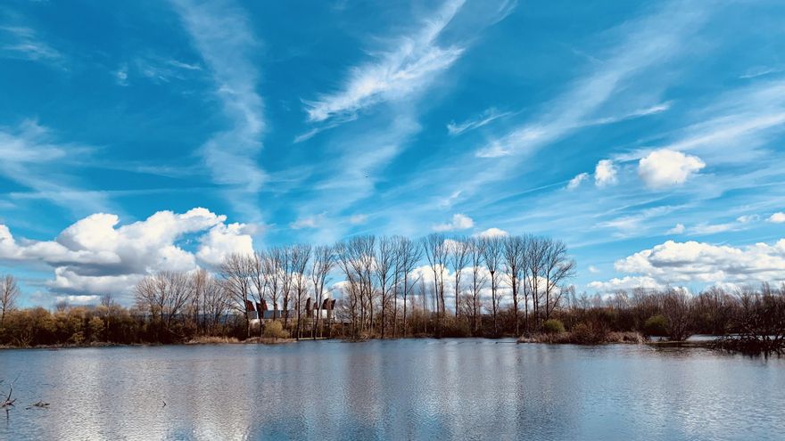 La ranita ágil contra el AVE en Vitoria: las obras del nuevo ferrocarril tendrán que garantizar la supervivencia de los anfibios