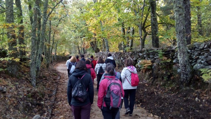 La Senda de los Mil Colores: una ruta por el bosque para descubrir la naturaleza en todo su esplendor en Salamanca