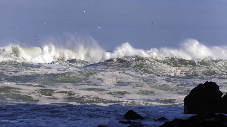 Proponen analizar microorganismos para ver el estado ambiental del mar