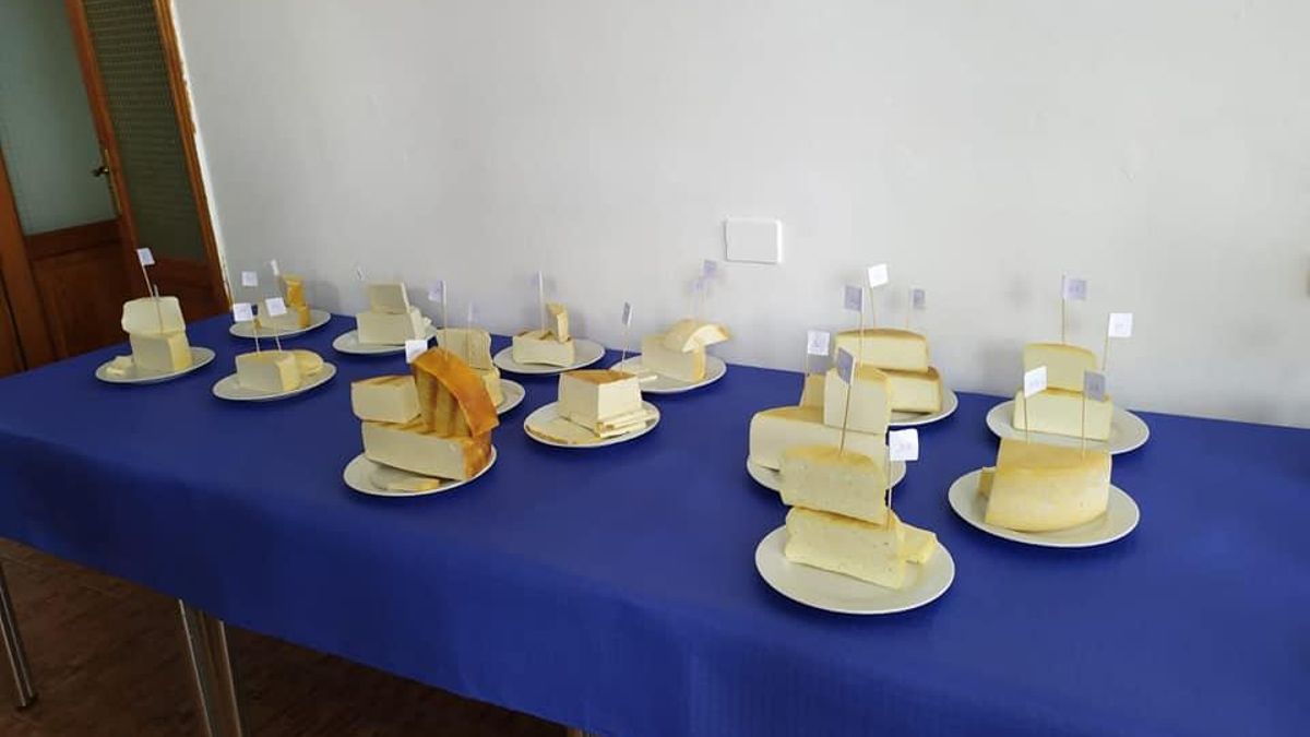 'VII Concurso Insular de Quesos San Juan de Puntallana'.