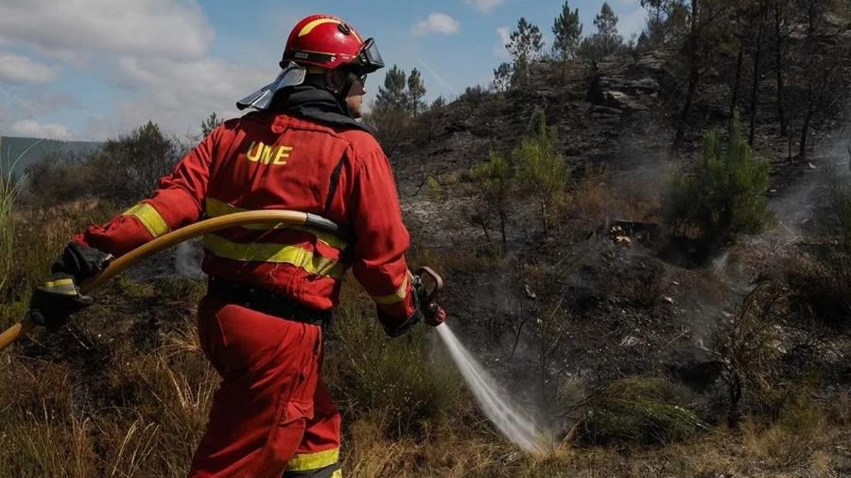 La UME prepara la campaña de lucha contra incendios en Asturias con 370 militares y 100 vehículos especializados