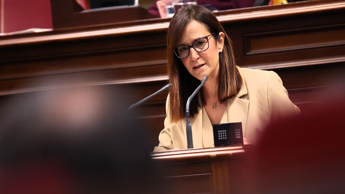 La parlamentaria de Nueva Canarias-Bloque Canarista (NC-BC) Natalia Santana, el pasado 30 abril de 2025 en el Parlamento regional.