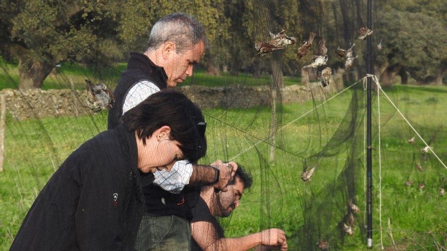 Una investigación demuestra la circulación del Virus del Nilo en pájaros de Badajoz