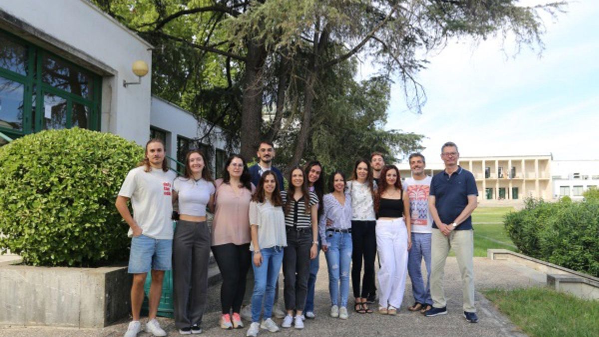 Investigan los 'genes saltarines' que impulsan la adaptación de un hongo que afecta a más de 150 cultivos