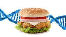 dieta adn