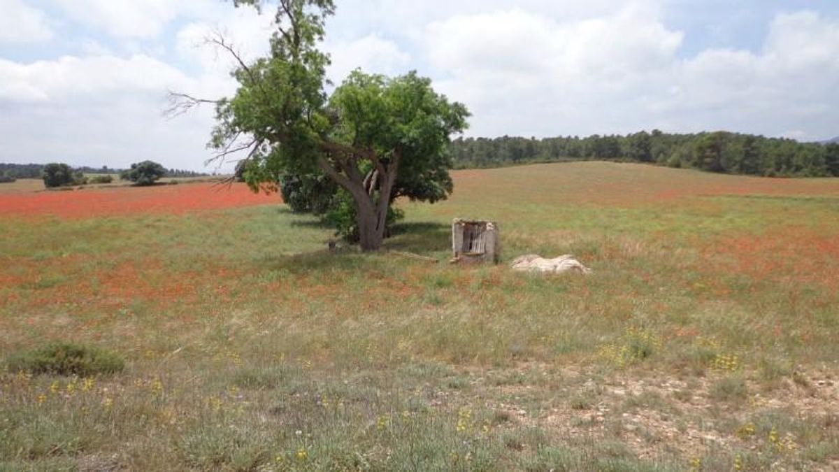 Paraje donde se situará el macrovertedero de Zarra.