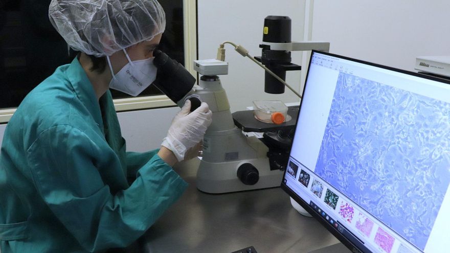 Iluminar los tumores para que los fármacos contra el cáncer sean menos tóxicos para el paciente