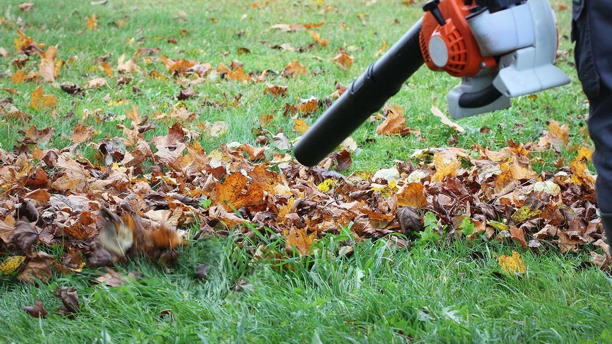 maquina sopladora de hojas teulada