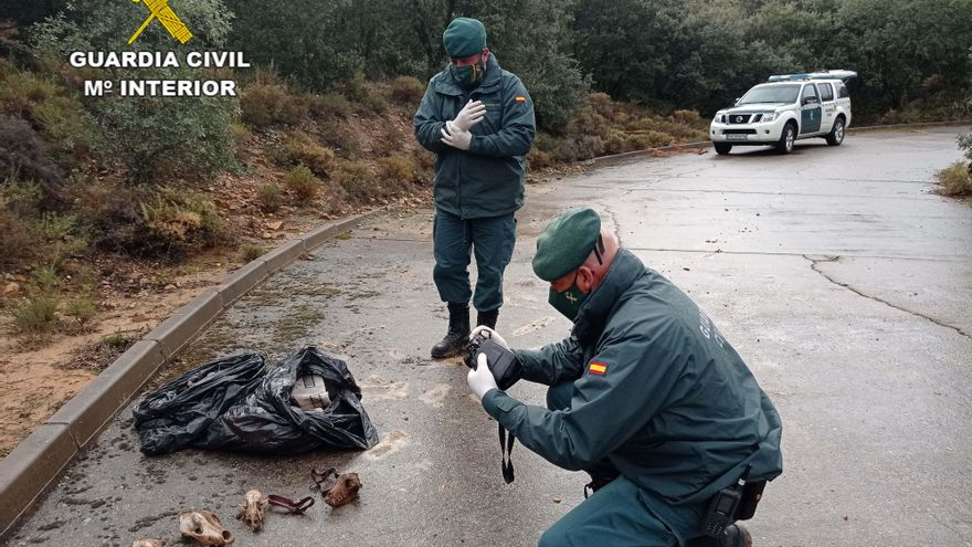 GALERÍA | La semana en imágenes