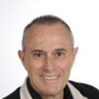 Francisco Rubio Royo