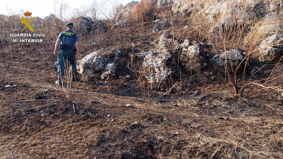 Investigan a una persona por una quema de poda en Hornachuelos que provocó un incendio forestal