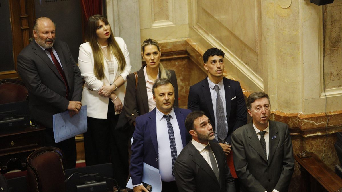 El bloque libertario se quedó solo defendiendo el veto