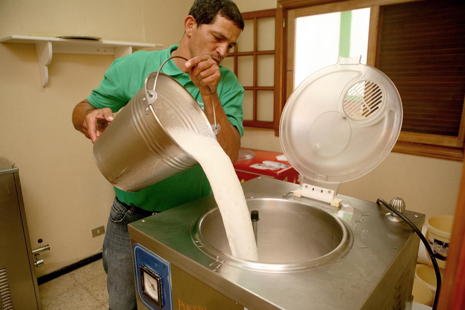 La leche pasa a la pasteurizadora (ALEJANDRO RAMOS)