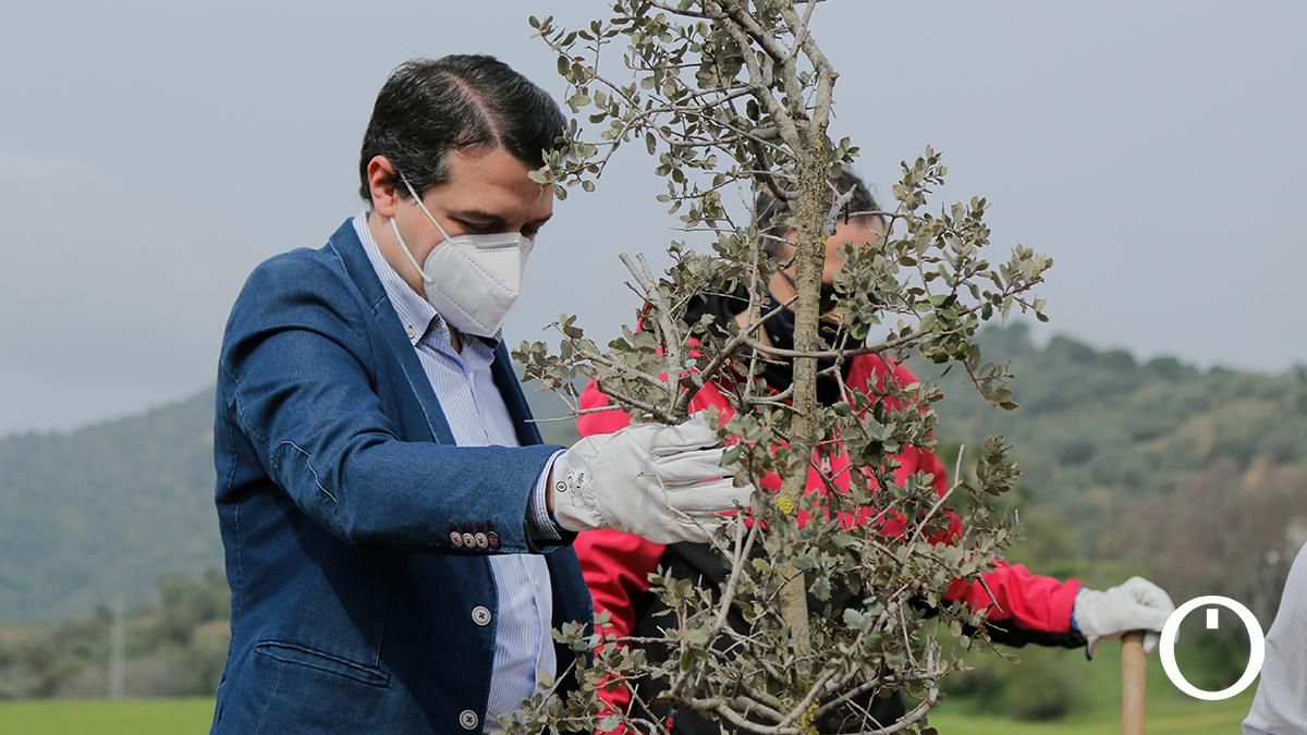 Plantación masiva de árboles organizada por Medio Ambiente en el Cinturón Verde Metropolitano de Córdoba