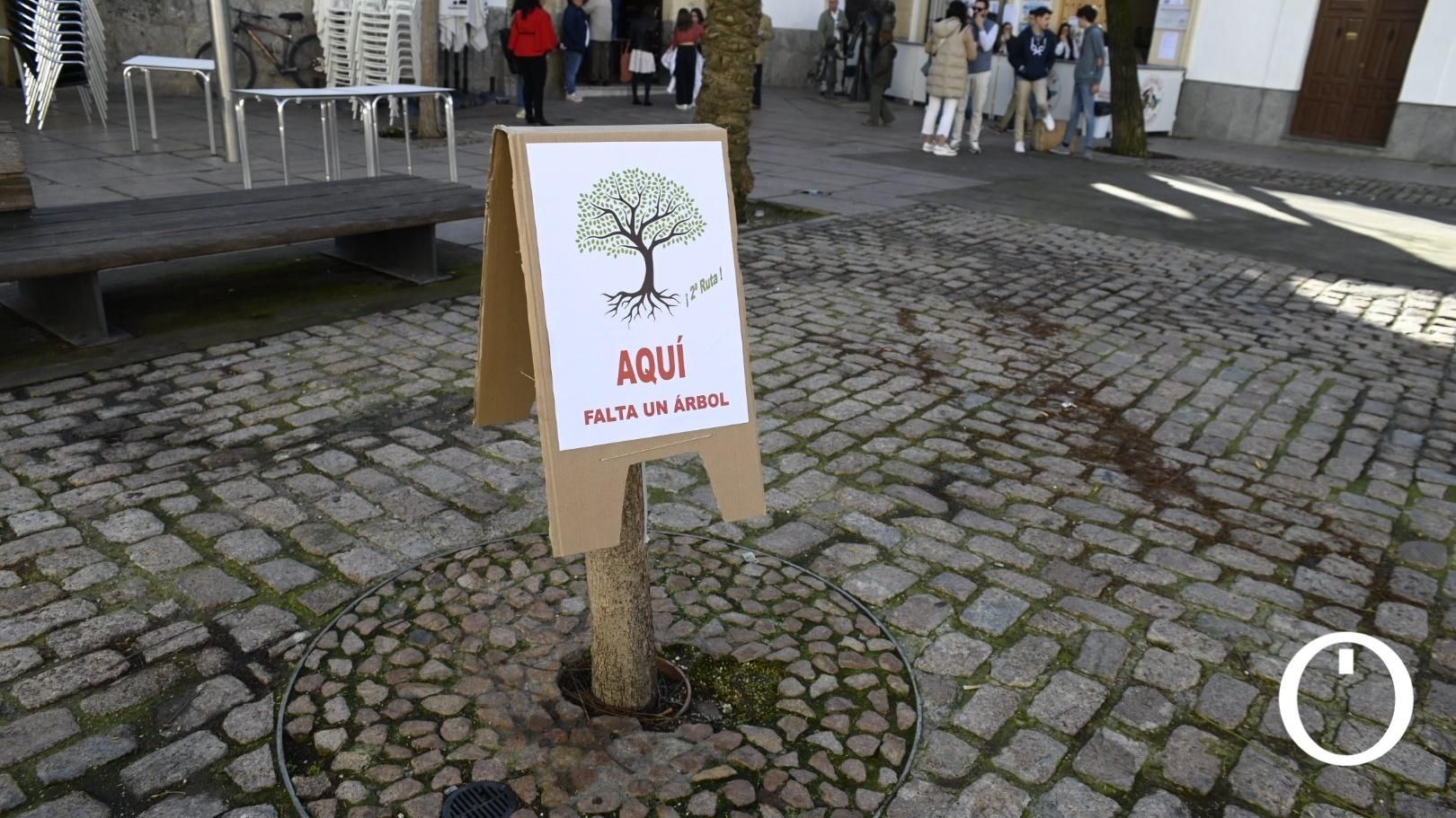 Ruta de aquí falta un árbol