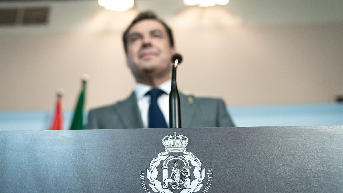 El Defensor da la razón a Andalucía Viva y dice que no se puede crear un escudo sin respaldo legal