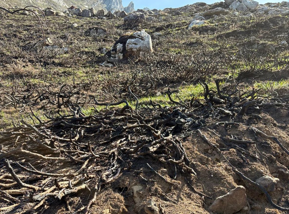Somiedo (Asturias) tras el paso del fuego en 2026
