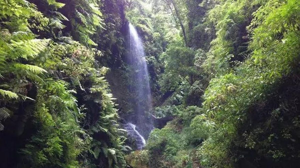 El Cabildo  de La Palma conmemora el Día Mundial del Agua con una jornada centrada en la gestión de los recursos hídricos en territorios volcánicos