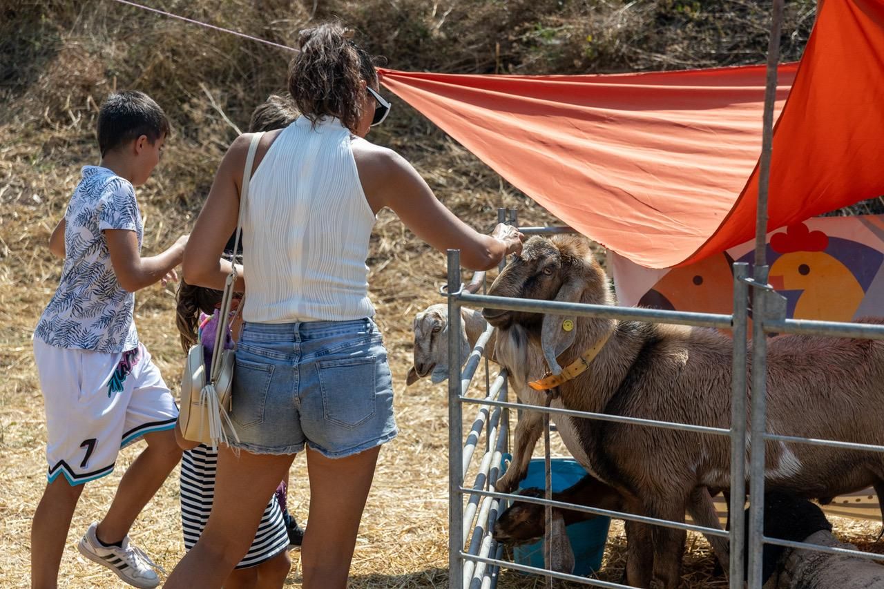 Mercado del Trato en Ventosa, La Rioja