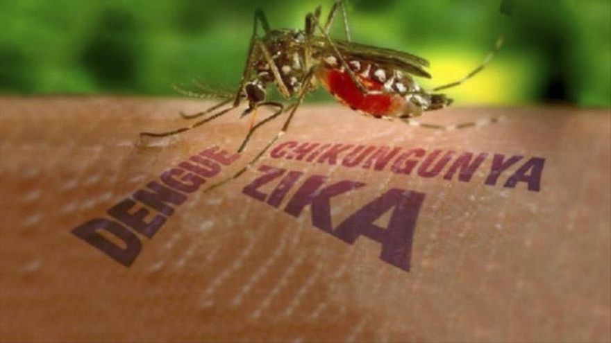 Investigadores argentinos descubren un mecanismo clave de los virus de dengue y zika