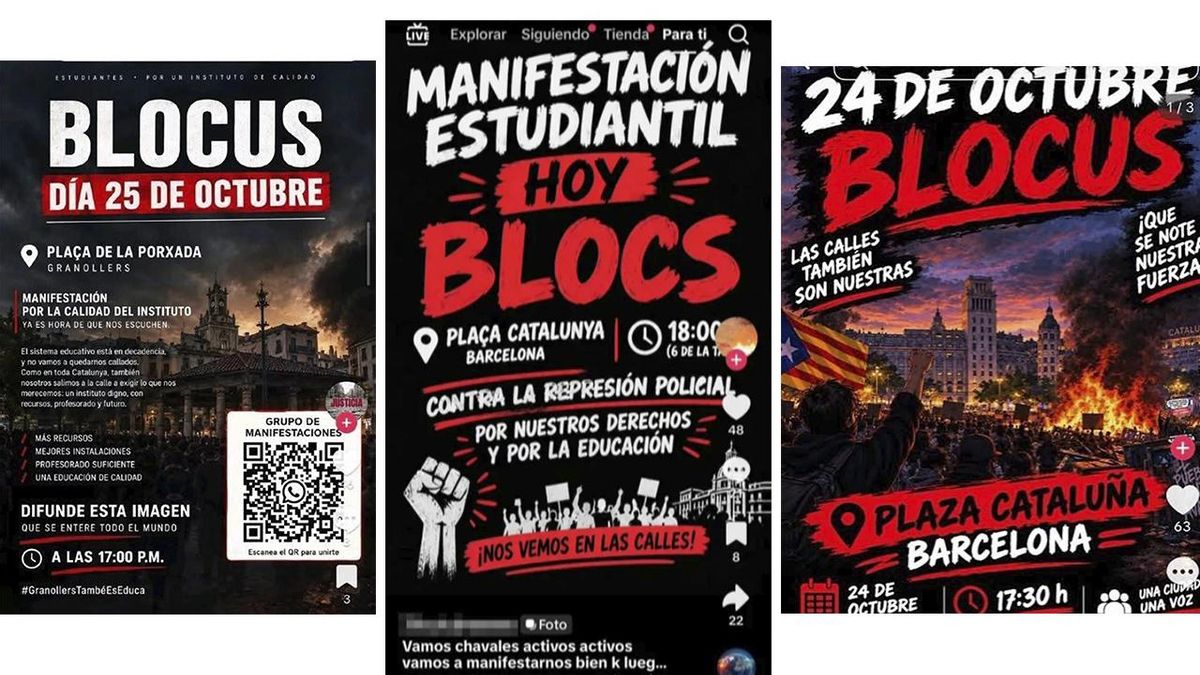 Algunos de los carteles que difundieron la convocatoria en Tiktok