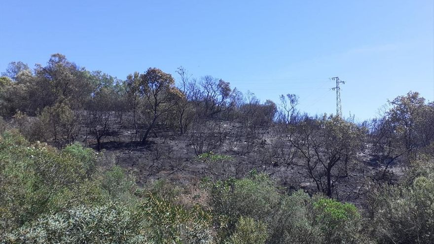 El Infoca da por extinguido el incendio forestal en la Sierra de Córdoba