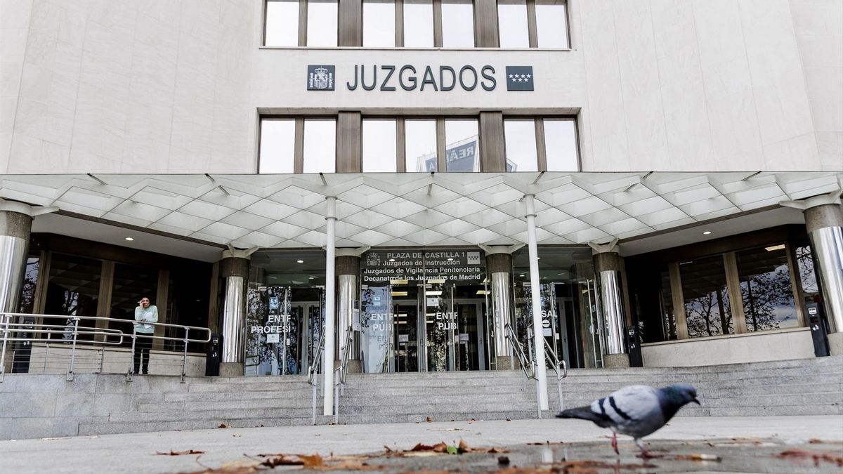 Una invasión de chinches en los juzgados de Plaza de Castilla se traduce en semanas de picaduras a sus funcionarios