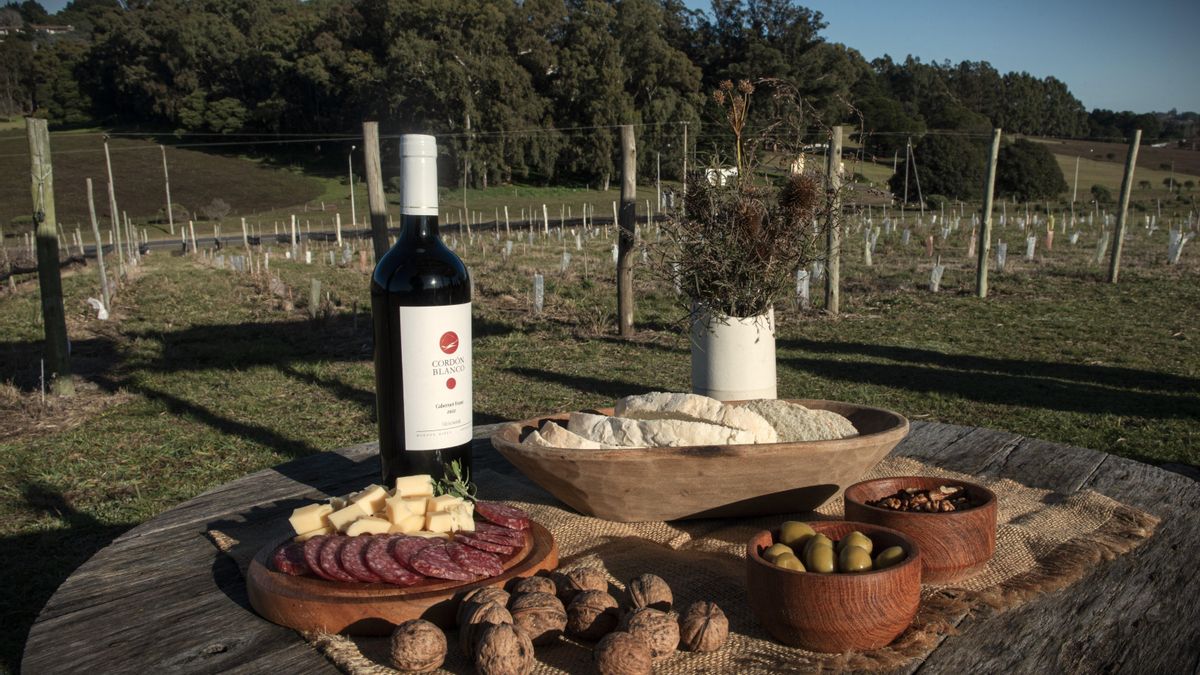 Bodega Cordón Blanco
