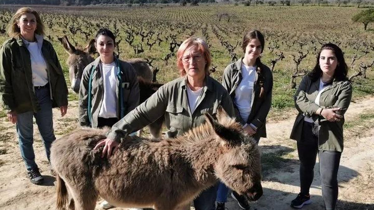 Integrantes de la asociación, con algunos de los burritos.