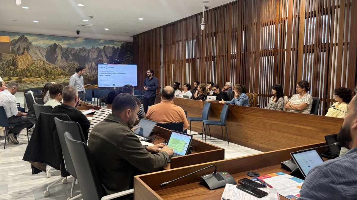 La Red Anagos dice que el Cabildo de La Palma “no ha licitado en 2026 ningún contrato reservado a empresas sociales”