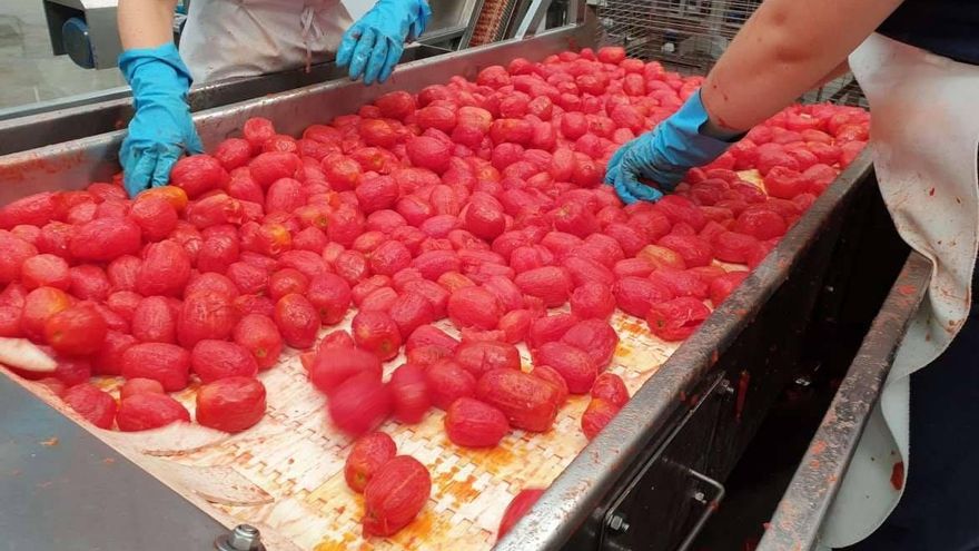 Cuatro empresas extremeñas recibirán 5,1 millones en ayudas del Gobierno dentro del segundo PERTE agroalimentario