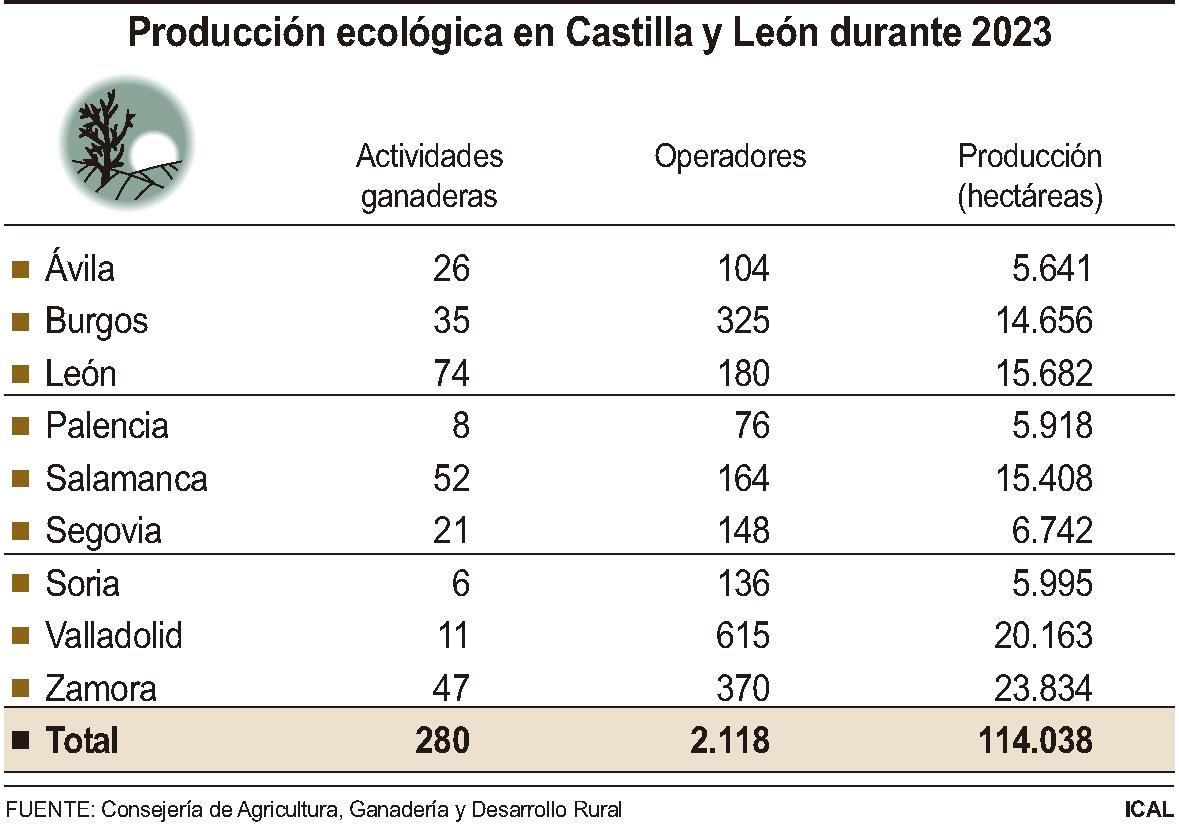 Producción ecológica en Castilla y León durante 2023.