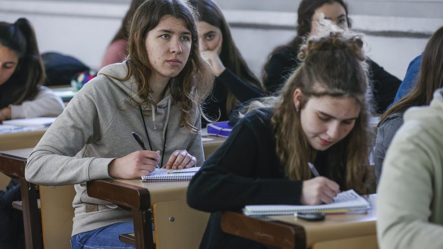 Menos matrícula y más psicólogos: los 40 'deberes' que los estudiantes ponen ante las elecciones a Rectorado de la UPV/EHU