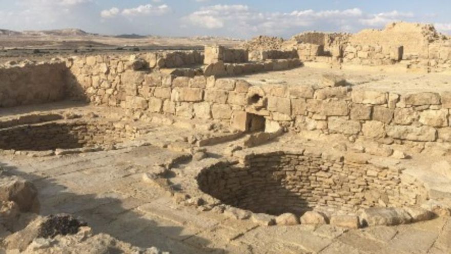 El vino de Gaza fue un tesoro del comercio antiguo y ahora sabemos que nació de una cepa blanca cultivada bajo el sol del desierto