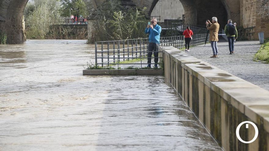 El espectáculo de la crecida del Guadalquivir, que se ha quedado a seis centímetros del umbral naranja