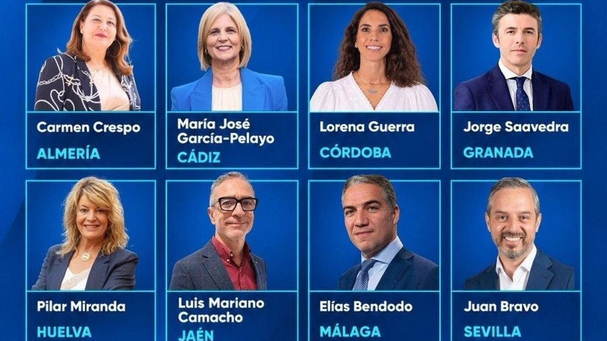 Candidatos PP