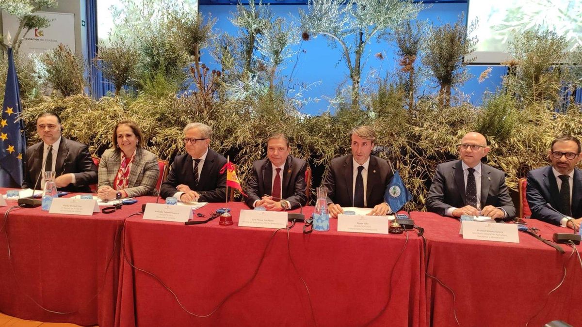 La Declaración de Córdoba como legado de futuro para impulsar la sostenibilidad del olivar en el mundo